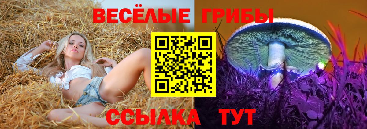 Галлюциногенные грибы GOLDEN TEACHER Нефтекумск